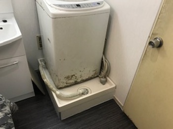 2019.01.17007.jpeg