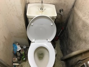 2019.01.17013.jpeg