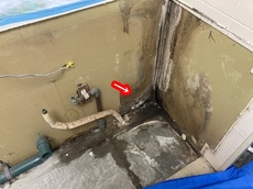 2019.07.03LT015-20221117.jpg