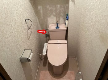 2019.07.03LT004-20230415.jpg