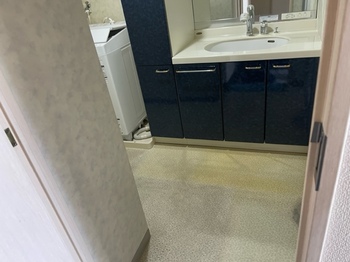 2019.07.03LT001-20231122.jpeg
