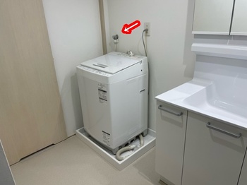 2019.07.03LT009-20231122.jpeg