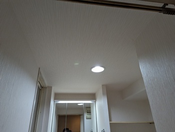 2019.07.03LT001-20231225.jpg