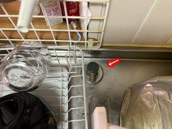 2019.07.03LT004-20231216.jpg