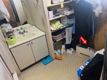 2019.07.03LT012-20231225.jpg