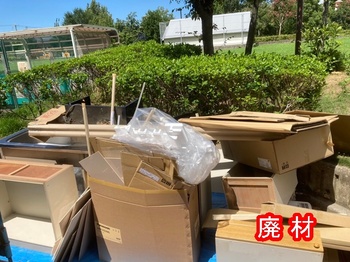 2019.07.03LT014-20231216.jpg