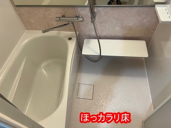 2019.07.03LT005-20240112.jpg