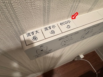2019.07.03LT007-20240130.jpg