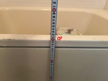 003-20250910.jpg